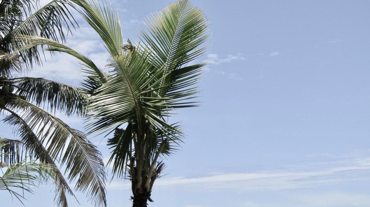 Dikaloha Surfschool And Stay Airsatang Eksteriør bilde