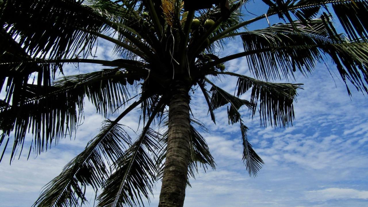 Dikaloha Surfschool And Stay Airsatang Eksteriør bilde